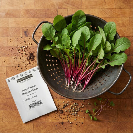 Hong Vit, Organic Radish Seeds - Packet image number null